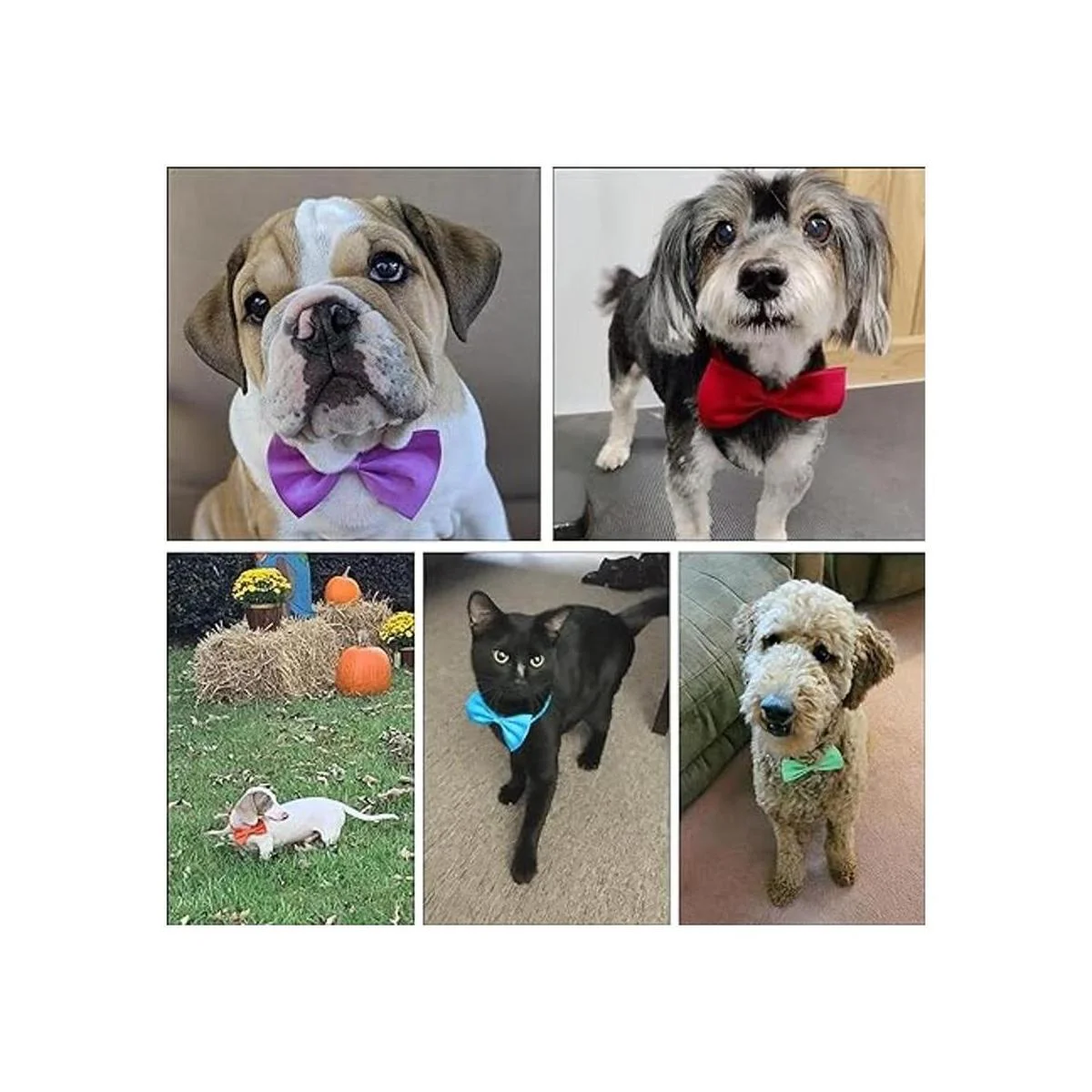 YUEPET 20 lazos para perros y mascotas ajustable 20