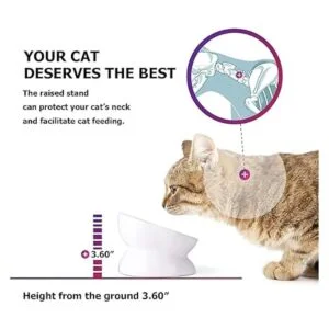 Y YHY Cuenco para gatos anti vómitos cuencos elevados de_3