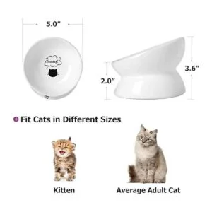Y YHY Cuenco para gatos anti vómitos cuencos elevados de_2