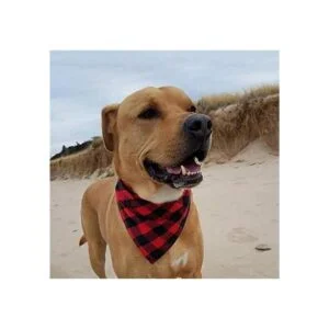 YAKA Pañuelo triangular para perro bufanda con doble_4