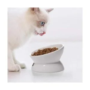 Y YHY Cuenco para gatos anti vómitos cuencos elevados de_5