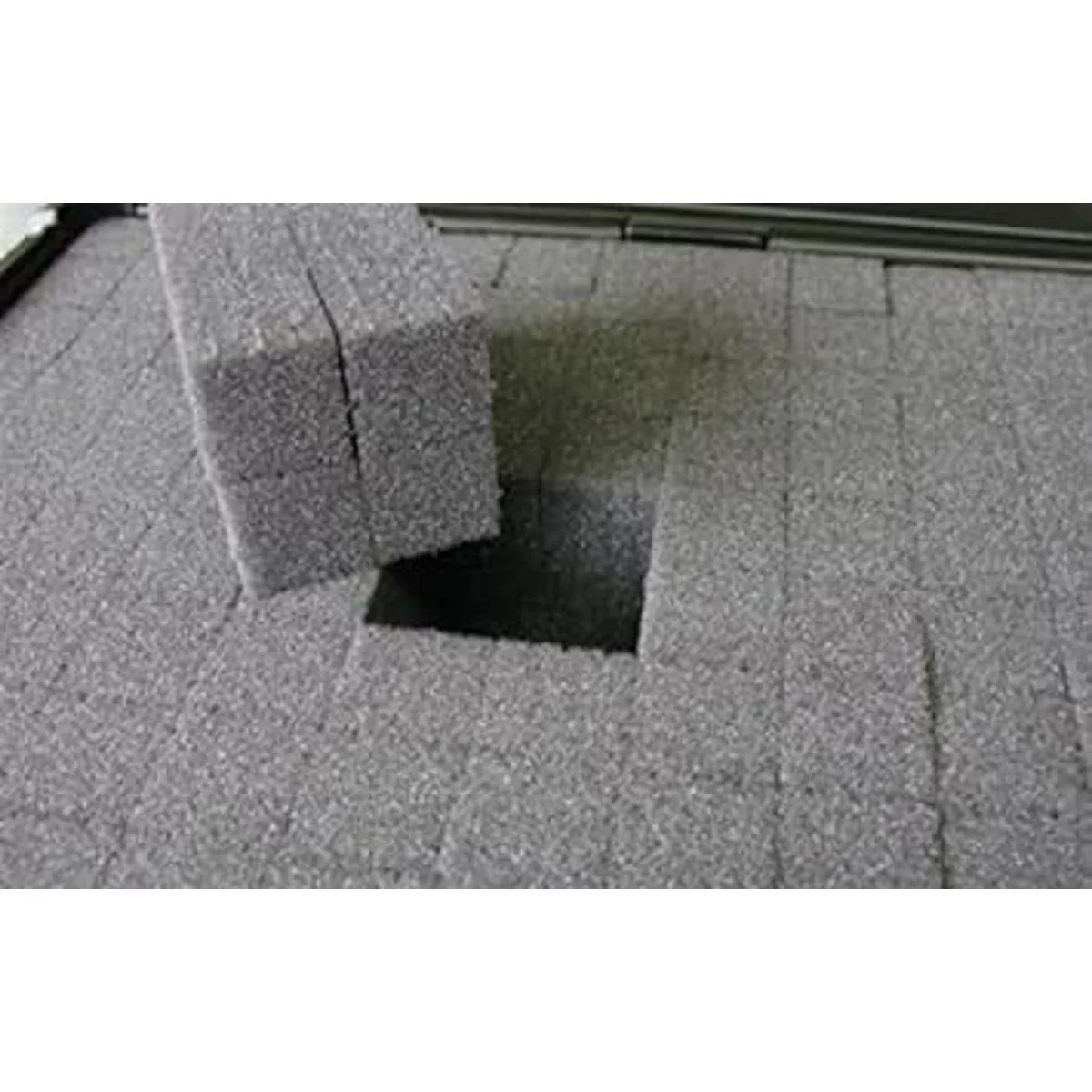 XPack carcasa rígida para Selphy Impresora CP1200 CP910_5