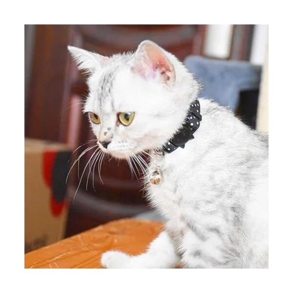 XPangle Breakaway Collares de gato con campana juego de