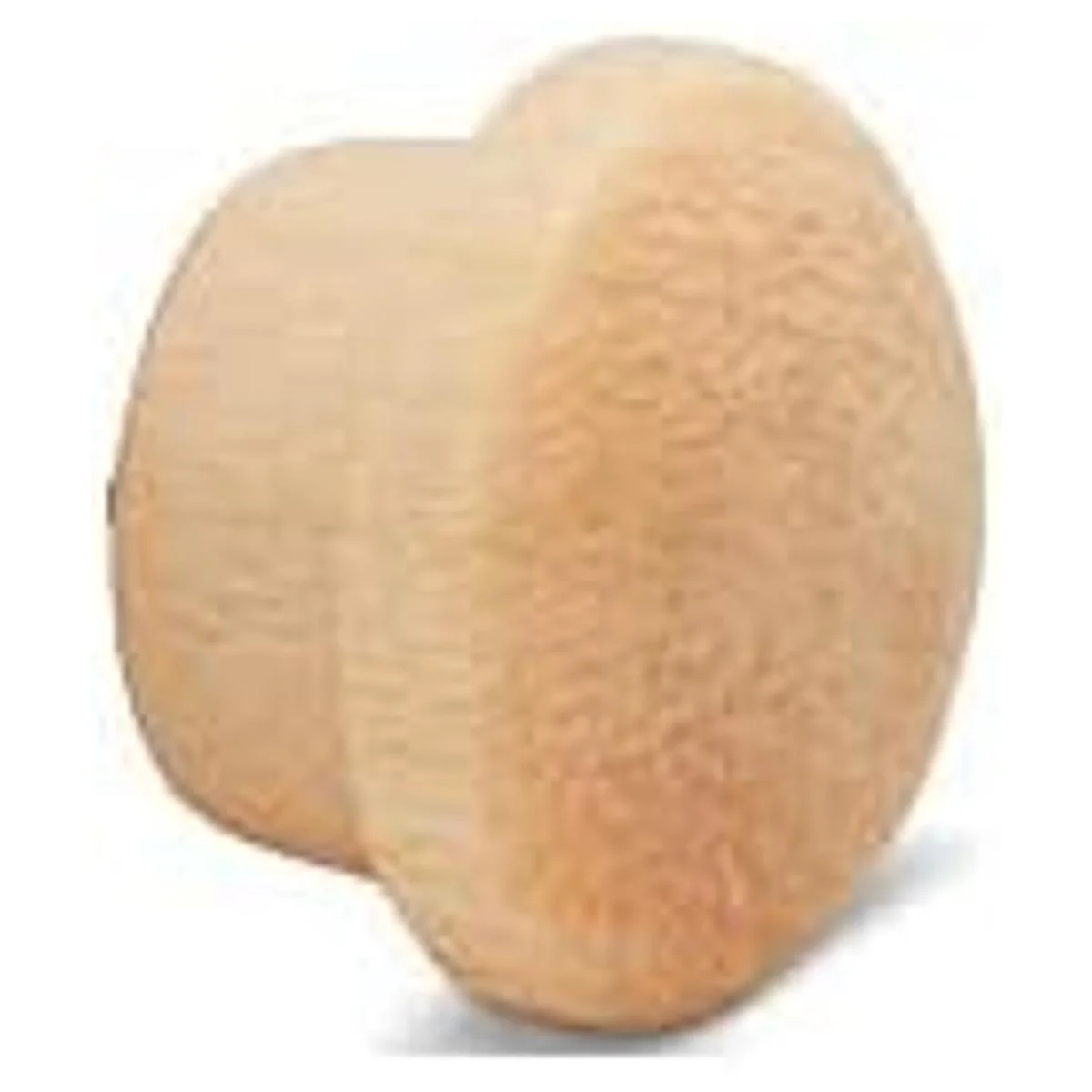 Woodpeckers Tapones de madera para agujeros de tornillo