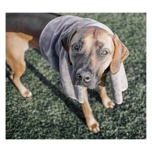 Wooflinen Toalla de baño de microfibra para mascotas