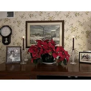 Wondise Velas cónicas sin llama con temporizador 9_3