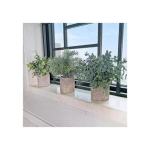 Winlyn Juego de 3 mini plantas artificiales de eucalipto