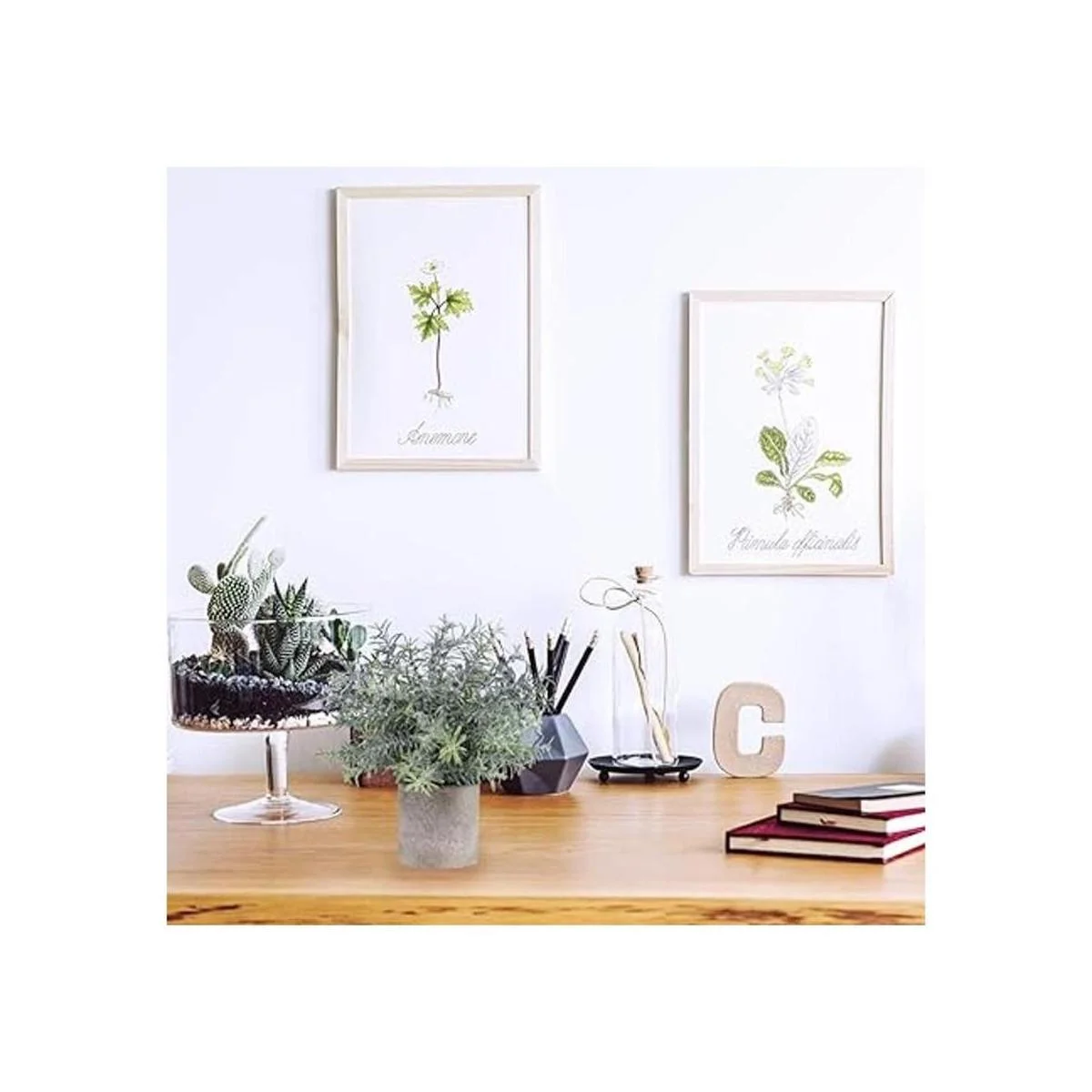 Winlyn Juego de 3 mini plantas artificiales de eucalipto