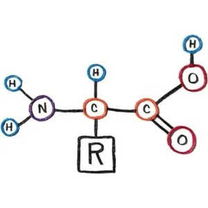 Wikk Stix STEM Pak 108 pies de Wikki Stix en colores_6
