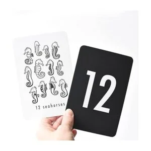 Wee Gallery Tarjetas de números naturales tarjetas_6