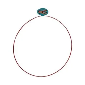 Water Sports Swim Thru Rings Assorted Pack Adjustable_4