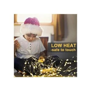 WSgift Paquete de 2 luces LED blancas cálidas de 20 pies y