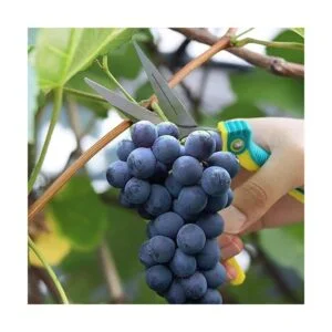 WYF Tijeras de podar para jardinería 81 pulgadas con