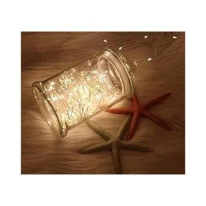 WSgift Paquete de 2 luces LED blancas cálidas de 20 pies y