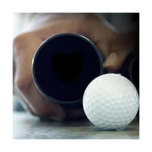 WORKSHOP Wet Dry Vacuum WS25021A manguera extralarga 2_2