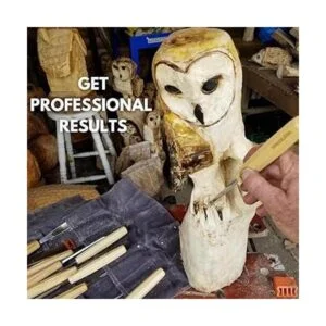 WINCKELSTEEL Juego de 12 herramientas de tallado de_3