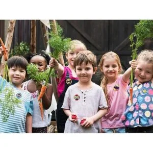 WILLBOND 96 pines de reconocimiento mini pines de botón_2