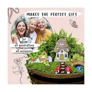 WILD PIXY Kit de accesorios para jardín de hadas Casa