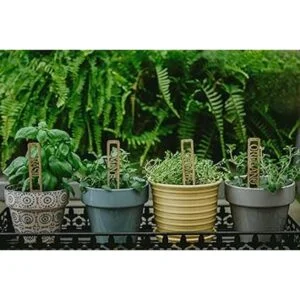 Vyperion Etiquetas para plantas de jardín resistentes a_6