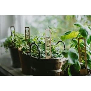 Vyperion Etiquetas para plantas de jardín resistentes a_3