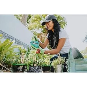 Vyperion Etiquetas para plantas de jardín resistentes a_5