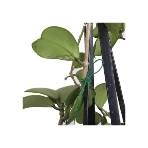 Vivifying Cordel de jardín verde de 328 pies de 0.118 in