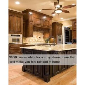 Vinaco PAR20 Bombillas halógenas 6 bombillas halógenas_2