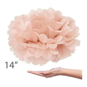 Vidal Crafts Juego de 20 pompones de papel de seda color_4