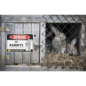 Venicor Beware of Rabbit Decoración de letrero de 8 x 12