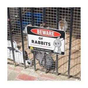 Venicor Beware of Rabbit Decoración de letrero de 8 x 12