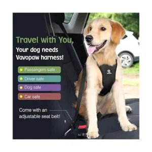 VavoPaw Arnés de chaleco de seguridad para vehículo