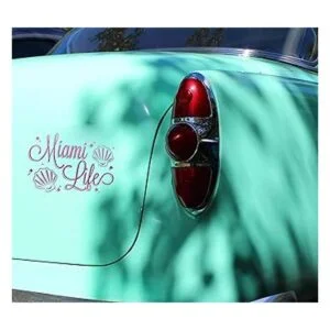 VViViD Deco65 paquete de vinilos multicolores de 12_5