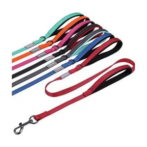 VIVAGLORY Correa de perro acolchada con dos asas correas_1
