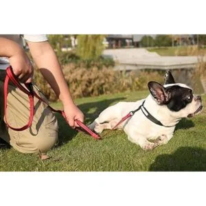 VIVAGLORY Correa de perro acolchada con dos asas correas_6