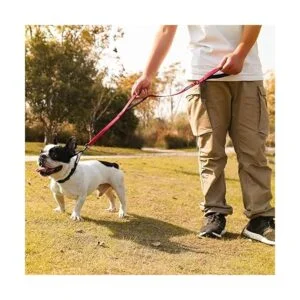 VIVAGLORY Correa de perro acolchada con dos asas correas_4