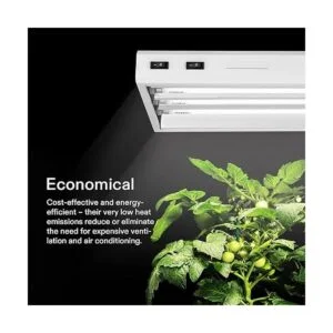 VIVOSUN 5 Paquetes de tubos fluorescentes T5 para plantas._3