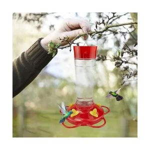 Urban Deco Comedero de colibríes de vidrio para colgar al_6