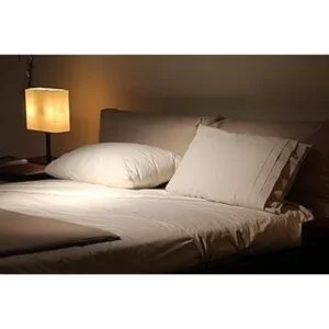 UnEdison Luz LED A19 para insectos Reemplaza 100 W