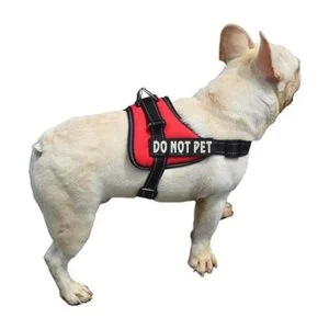 Umisun Parches extraíbles para perros para chalecos y_4