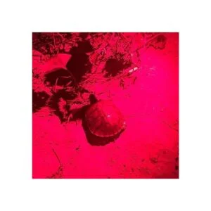 Un modo rojo linterna LED mini Zoomable escalable de alta