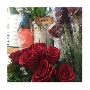 Ugold La etiqueta original de cobre para plantas de