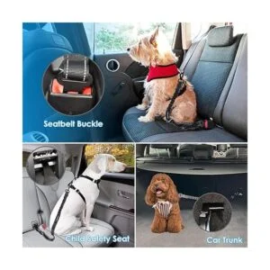 URPOWER Cinturón de seguridad 3 en 1 para perro cinturón