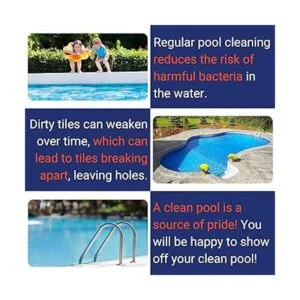 US Pumice PB12 Bloque de limpieza de piscina piedra