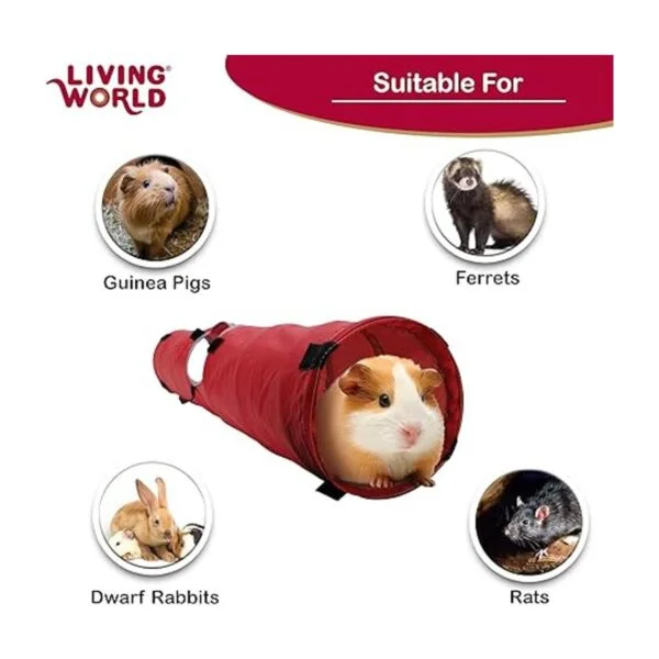 Túnel para mascota de Hagen Living World