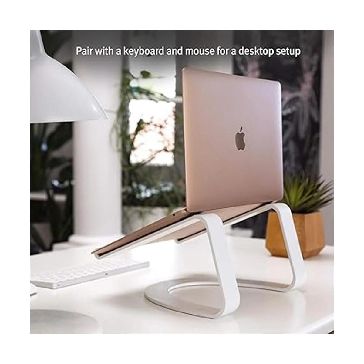 Twelve South Curve para MacBooks y Laptops Soporte_2