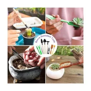 Tudoccy Juego de herramientas de jardín de 83 piezas