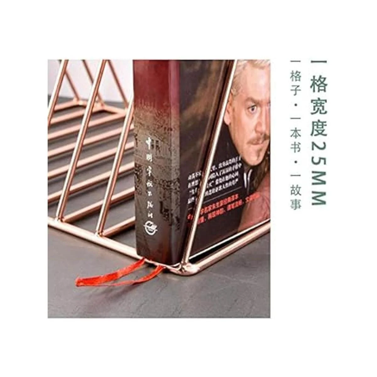 Triangle File Folder Racks and Magazine Holder10 Section_2