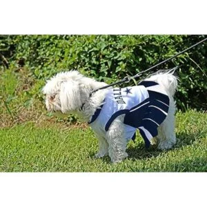 Traje de animadora de la NFL para perros y gatos._4