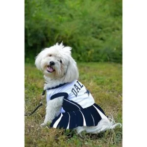Traje de animadora de la NFL para perros y gatos._2