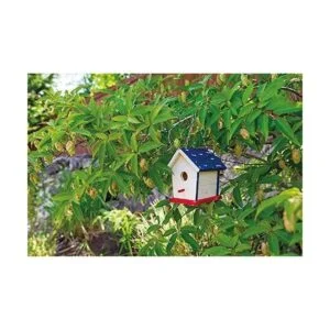 Toysmith Beetle Bee Paint A Bird Base Juego de_3